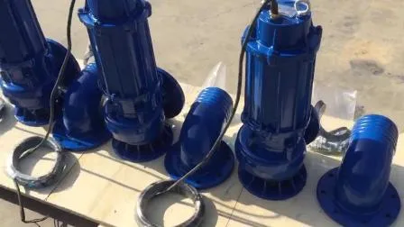Custom Industry Electric Sea Water Submersible Sewage Pump for Pump Sea Water