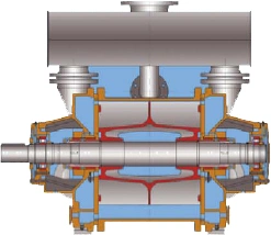 2be3 Belt Driven Methane Vacuum Pump Liquid Ring Compressor