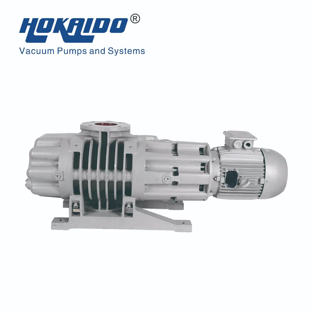 High Capacity Roots Vacuum Booster Pumps for Vacuum Distillation