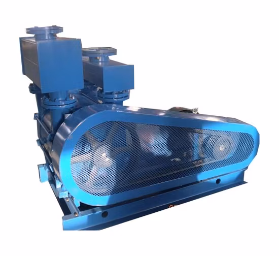 2be3 Belt Driven Methane Vacuum Pump Liquid Ring Compressor
