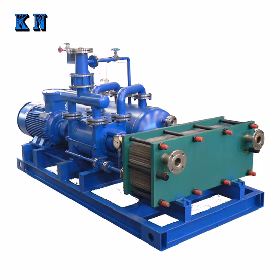 2be Series Single Stage Stainless Steel Liquid Ring Vacuum Pump Water Ring Vacuum Pump and Air Compressor for Paper Making Chemical Industry