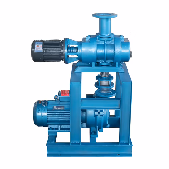 Zjzb2b Vacuum Pump Package Unit for Zhuoxin High Efficiency Low Noise