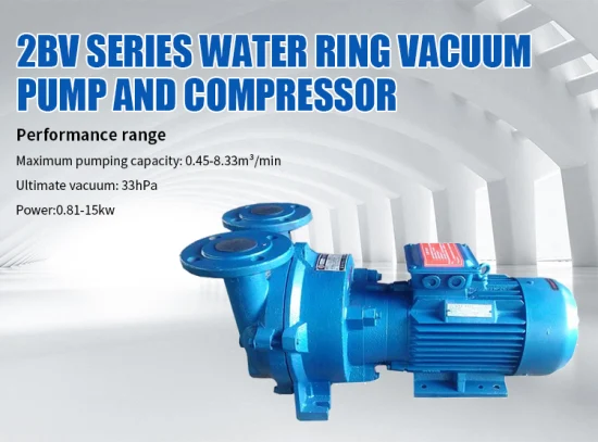 Isothermal Compression 2BV Liquid Ring Vacuum Pump for Steam Recovery in Distillation Units and Loading Stations.