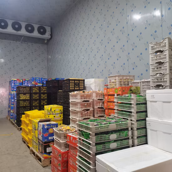 Air Cooler and Condensing Unit for Fresh Room and Cold Storage
