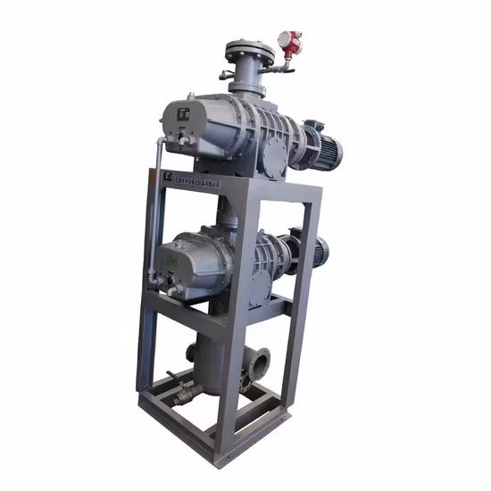 Low Pressure Liquid Ring Roots Vacuum Pump Units with Cooling System